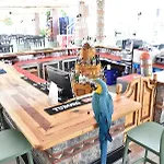 매직 튤립