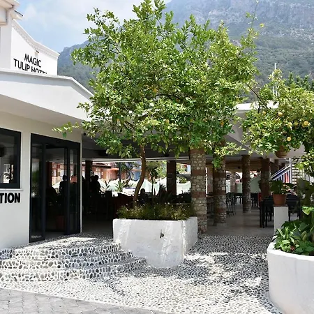Otel Magic Tulip
