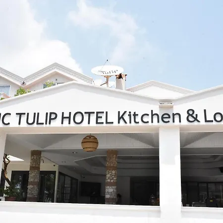 Magic Tulip Otel 3*
