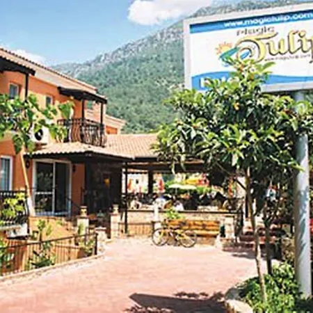 Otel Magic Tulip 3*