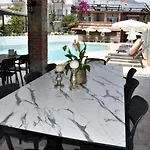 מלון Magic Tulip