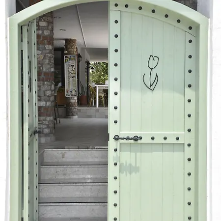 Magic Tulip Ολουντενίζ