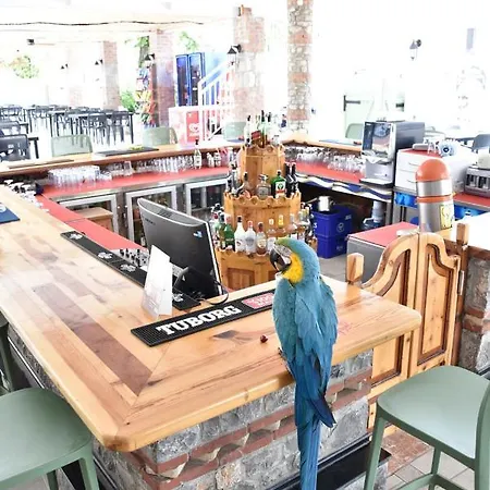 魔幻郁金香酒店