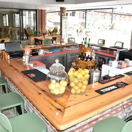 酒店 魔幻郁金香酒店